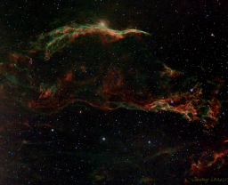 The Cygnus Loop