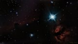 The Horse and the Flame