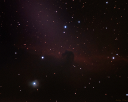 IC434: The Nebula Behind the Horsehead