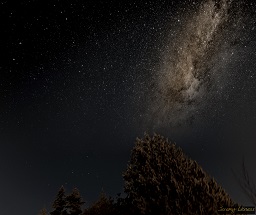 Milky Way in my Backyard