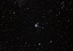 NGC7129: The Cosmic Rose