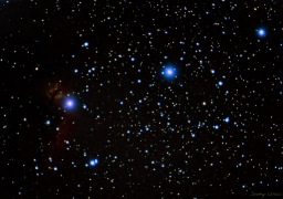 Orion's Belt New Year 2022