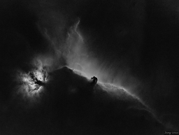 Horse and Flame sans color