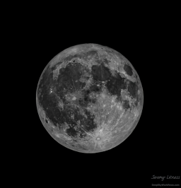 Strawberry Moon Forever