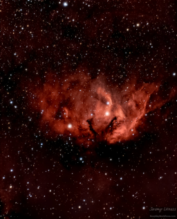 The Tulip Nebula in Hydrogen Alpha